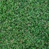 Windsor Green Couch Turf