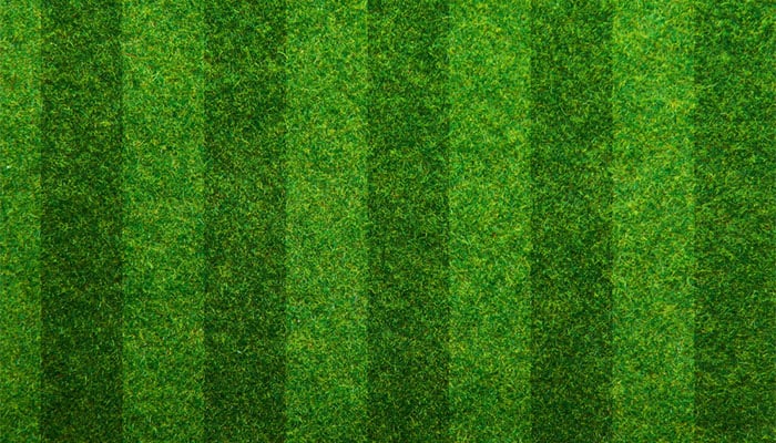 striped turf for soccer field