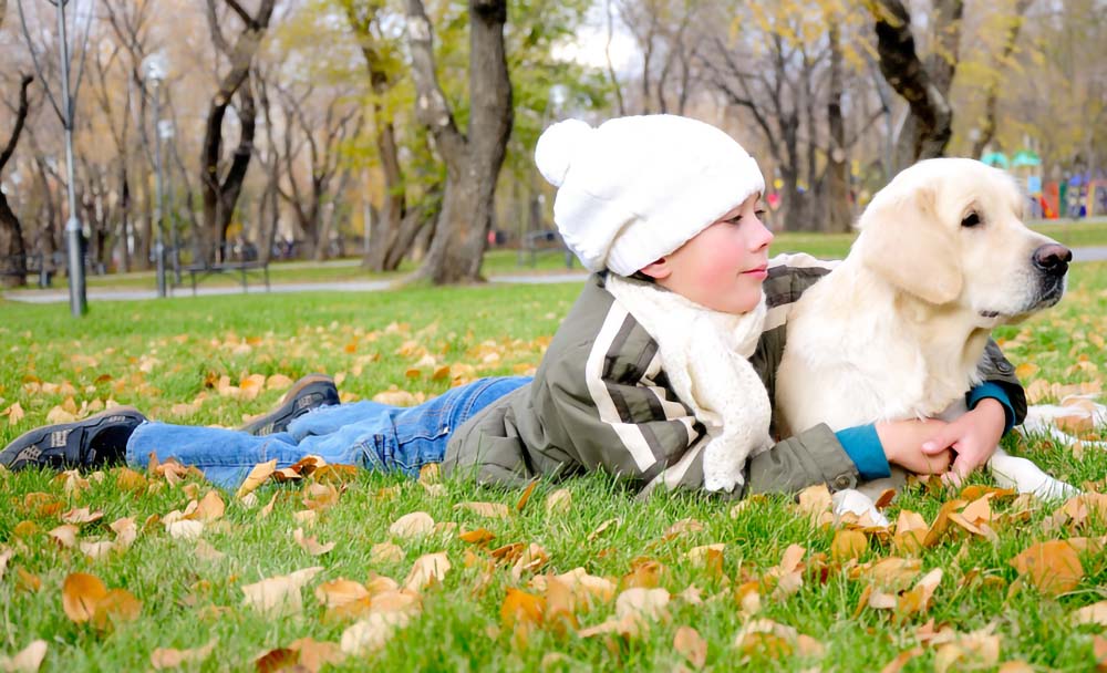 Boy playing in autumn park with a golden retriever.