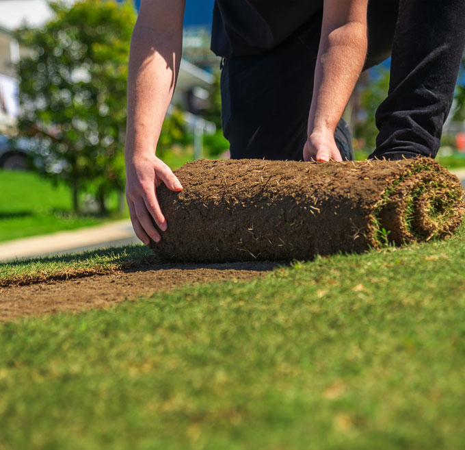 How-to-install-turf-grass